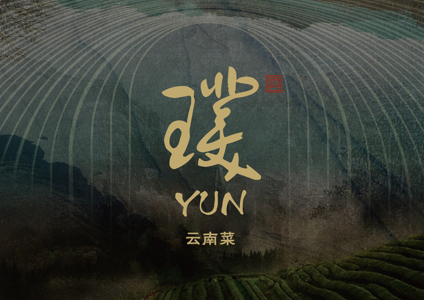 璞yun · 云南菜-品牌塑造全案                                                        Brand Building Full Service